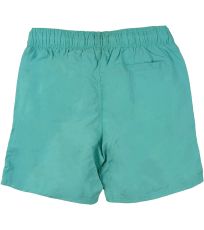 Pánské plavecké kraťasy Swimwear Blend 